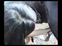 Brunette jacking off a horse dick